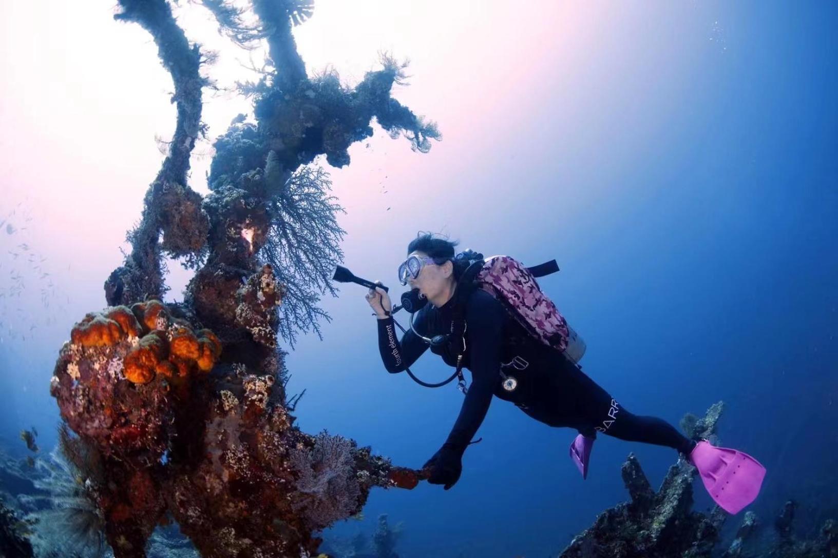 Tulamben Villa Alba Bali Dive Resort מראה חיצוני תמונה