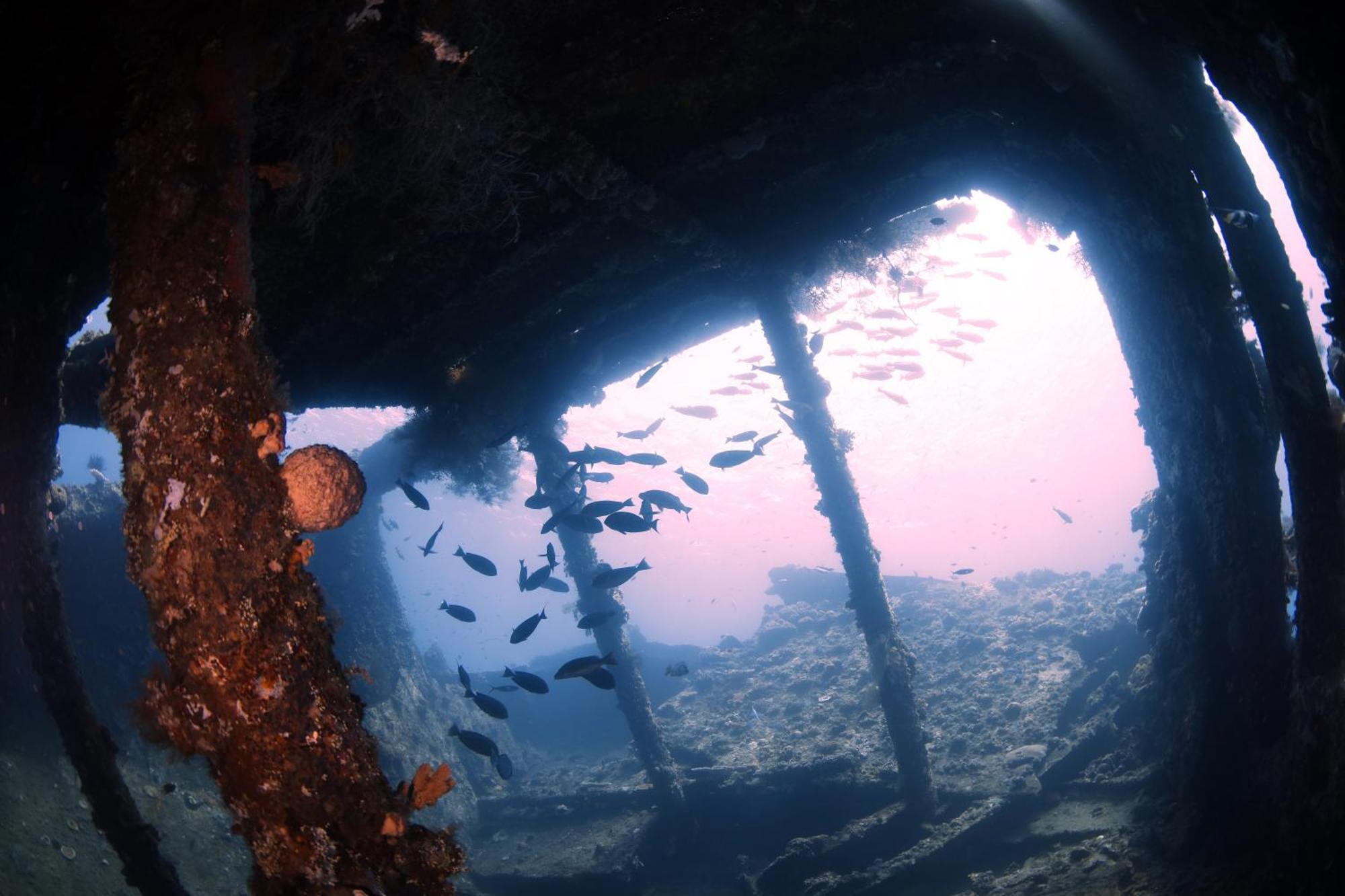 Tulamben Villa Alba Bali Dive Resort מראה חיצוני תמונה